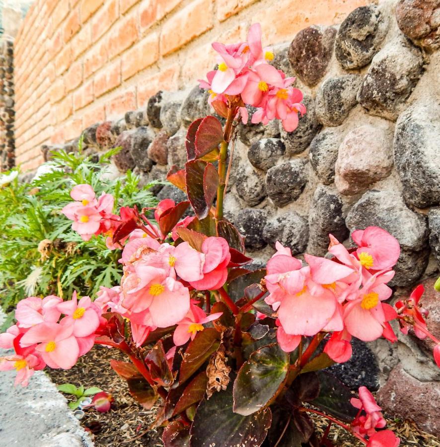 Готель Pampa Garden Quillullaco Екстер'єр фото